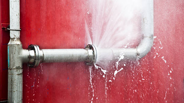 Best Local water damage restoration  in Mvell, AR