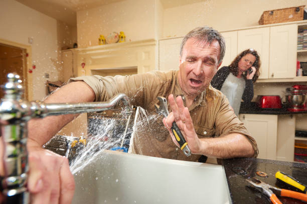Best Professional water damage repair  in Mvell, AR